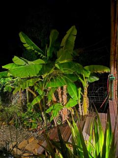 bamboo beach house - 5