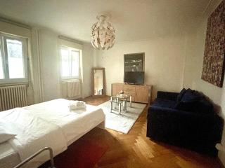 Beautiful and spacious apartment in Down town - 2