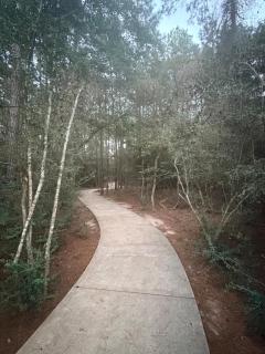 Beautiful home with trails, lake & community pool - 1