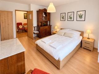Apartament Złota Woda - 3