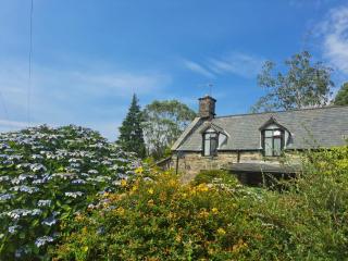 3 bed Cottage in the Welsh Mountains - 4x4 only - 9