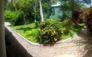 Cozy terrace apartment with tropical garden - 4