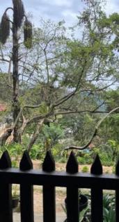 Tharaanaa Wellness Resot - 1