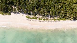 Casa Xik'Nal - Luxury Beach Front Villa - 1