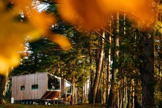 Tiny Houses mit Kamin & Hyggelige Schwedenhäuser mit Seeblick - 6