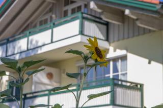 Ferienwohnung Alte Säge - Chiemgau Karte - 9