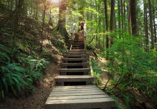 Lynn Canyon Retreat - 1