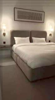Luxury apartment room and lounge - 6