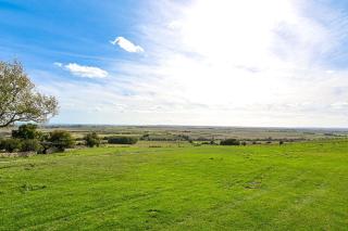 Eeyore's Place - 1