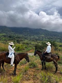 Room for 4 people at Hacienda Adrenalina - 5