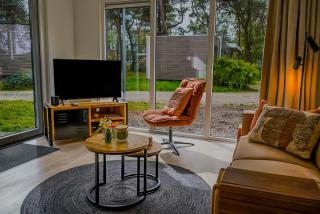 Luxe Boshuisje in Haarle met Sauna - Rust & Natuur - 9