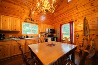 Secluded Cabin Villa with Hot Tub Pond & Hiking - 6