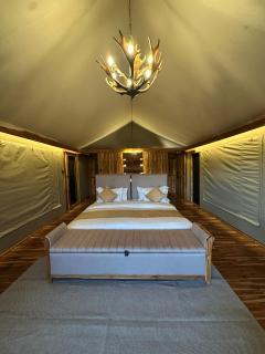BECH Serengeti Luxury Camp - 2