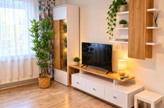 revLIVING Woodland Stay Apartment Heidenreichstein - inklusive Parkplatz - 6