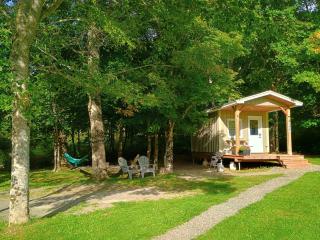 Rustic Tiny Cottage & Hot Tub With Detached Bathroom - 9
