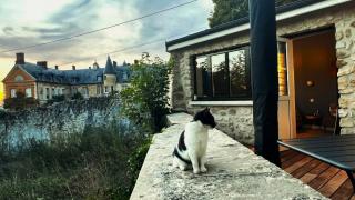 LE VERGER - 2