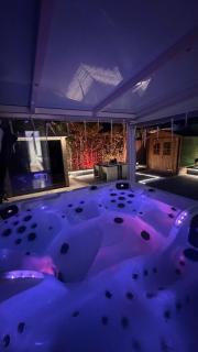 Luxury Vacation Villa, Private Jacuzzi & Sauna - 5