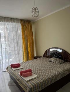 Alfa home - 0
