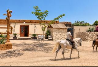 Peace House - Sakkara resort - Cairo - 8