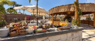 Peace House - Sakkara resort - Cairo - 6