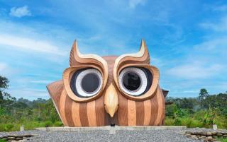 Animal Glamping - 8