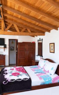 Los Tulipanes - 3