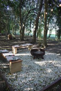 Alma de Campo - 2