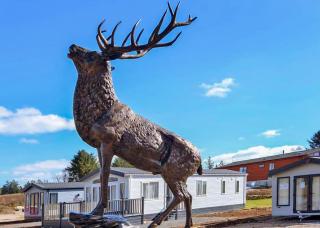 Benview Lodges - 8