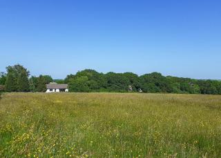 Eastcott Lodges - 7