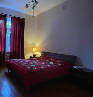 Spacious and cosy flat in Bishkek's center - 9
