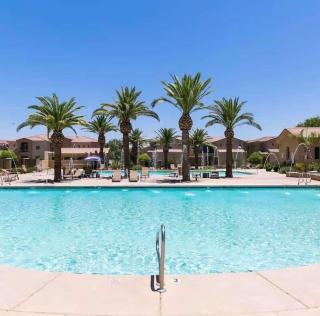 Mesa Gated Oasis Pools Gym Hot Tubs - 6
