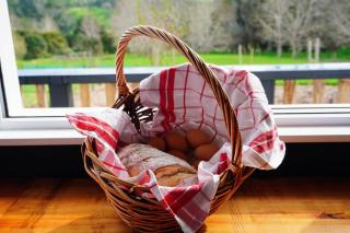 Rustic Cabin in Rural Mangawhai - 3