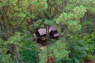 Honey Bear - 1BR Cabin & Hot Tub - 5