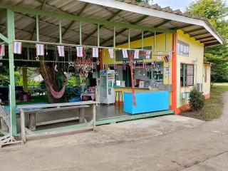 Chill in Pai - 5