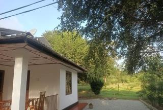 Pothana Eco Villa - 5