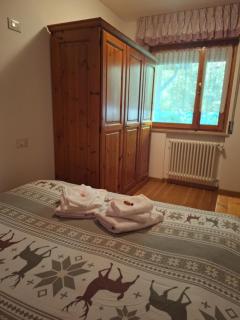 Stella alpina Carlo - 6