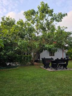 DOMAIN327 Your Cozy Pause in Colombo Awaits - 5