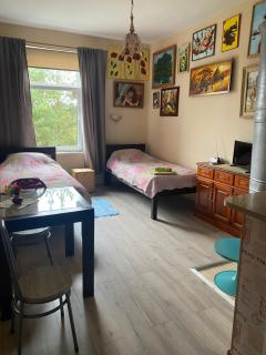 Krāslava City Apartment - 8