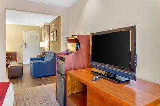 Comfort Suites Oakbrook Terrace - Chicago West - 1