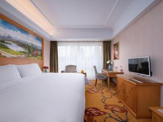 Vienna Hotel Zhejiang Ningbo Beilun In Time City - Ningbo - 5