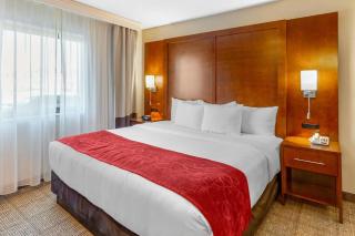 Comfort Suites Oakbrook Terrace - Chicago West - 9