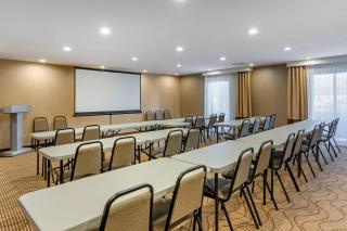 Comfort Suites Oakbrook Terrace - Chicago West - 3