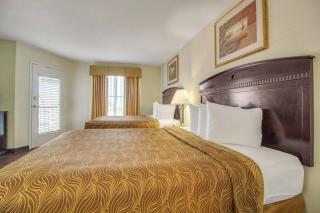 MainStay Suites Texas Medical Center-Reliant Park - Houston - 6