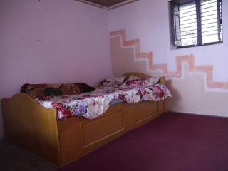 Raj guesthouse - 7