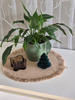 Homestay in Nordic Forest Room - Shared bathroom - 1