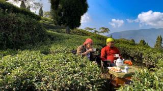 Yule Tea Retreat, Darjeeling - 4