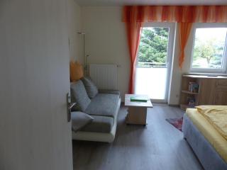 Apartment view of fortress in Pirna - 1