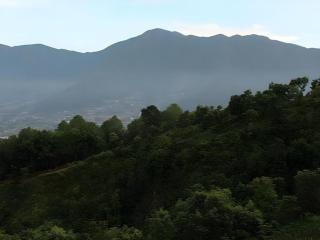 Naikap Village Resort - 2