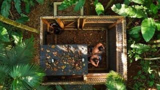 Acampamento do Bosque - 3