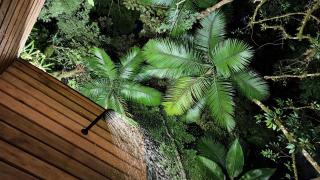Acampamento do Bosque - 2